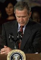 Picture for song 'Freedom, President Bush' by artist 'Larry Noel'