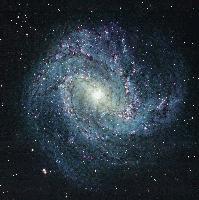 Picture for song 'The New Christian' by artist 'Larry Wilson'
