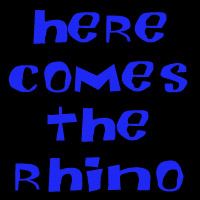 Picture for song 'here comes the rhino' by artist 'lasso the moon'