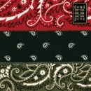 Picture for song 'Last Emperor & M-1 - Revolutionary' by artist 'Last Emperor 2004'