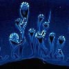 Picture for song 'The First Time' by artist 'Lawrence Bullock'