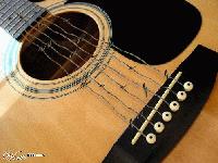 Picture for song 'Life's A Bi***' by artist 'Lawrence Bullock'