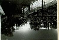 Picture for song 'T.O.A.P.O.A.' by artist 'Lazy Comet'