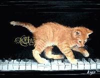 Picture for song 'Gee...*' by artist 'Lazzarini'