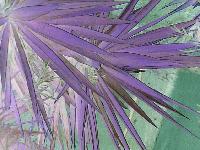 Picture for song 'so crisp' by artist 'L Bars'