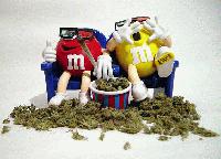 Picture for song 'Dummy high remix' by artist 'L Blocks Own Double'