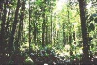 Picture for song 'The Traveller' by artist 'Lee Miller'