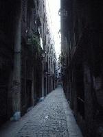 Picture for song 'LeEo (Feat. Schizo, Mischief) - Streetz Back' by artist 'LeEo'