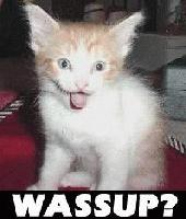 Picture for song 'Avert 13' by artist 'Lemon Party'