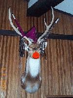 Picture for song 'rudolph the red nose reindeer' by artist 'Lemon Party'