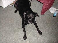 Picture for song 'willy wonka'sbrewery' by artist 'Leod Beats'