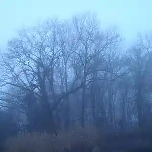 Picture for song 'Fade To Grey' by artist 'Leonard Scaper'