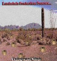 Picture for song 'LandMindz Intro (inst) LTrack 5' by artist 'Leon Literati'