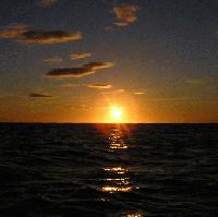 Picture for song 'midnight sun' by artist 'leon rodriguez'