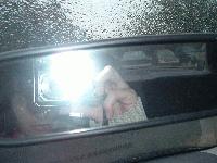 Picture for song 'ghost cracked glass' by artist 'leopards'