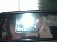 Picture for song 'red murder, grey dawn' by artist 'leopards'