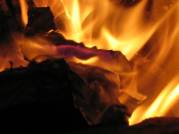Picture for song 'Battle Of Little Big Hart' by artist 'Letters In Flames'