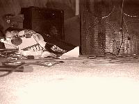 Picture for song 'Swing Life Away' by artist 'Letters In Flames'