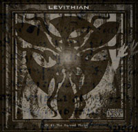 Picture for song 'Shard' by artist 'Levithian'