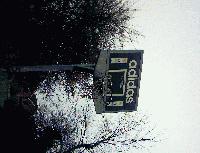 Picture for song 'Friday (911) Freestyle....' by artist 'Lewi Pepp'