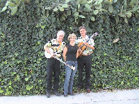Picture for song 'Blow Ye Winds' by artist 'Lewis and Means and Smith'