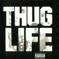 Picture for song 'Tribulations of A Thug' by artist 'Life After Death Entertainment'
