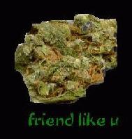 Picture for song 'Friend Like U' by artist 'Lifetime and Daranj'