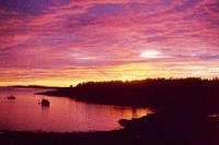 Picture for song 'Die For Me (Newer)' by artist 'lil hova Jr'