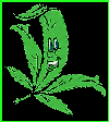 Picture for song 'Sticky,Sticky' by artist 'Lil TibbZ'