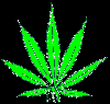 Picture for song 'Sticky,Sticky(Remix)' by artist 'Lil TibbZ'