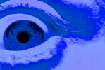 Picture for song 'New Breed' by artist 'Lips Loucious'