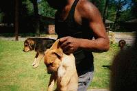 Picture for song 'My World' by artist 'Lirica'