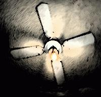 Picture for song 'Below' by artist 'Lisa DeBenedictis'