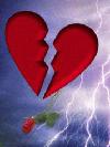 Picture for song 'I'm Sorry' by artist 'Lisa Marie'