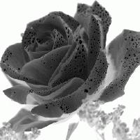 Picture for song 'In my mind' by artist 'lisa vegas'