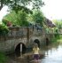 Picture for song 'Forgotten Summers' by artist 'Litchfield'