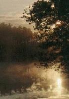 Picture for song 'console' by artist 'Little Dig'