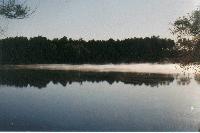 Picture for song 'Whatever You Want' by artist 'Little Dig'