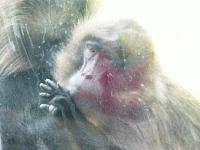 Picture for song 'breath of air' by artist 'loaf musick'