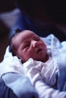 Picture for song 'SoreLoser' by artist 'Lobotomy Beats'