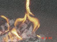Picture for song 'Hot Tempered' by artist 'Loco Motivez'