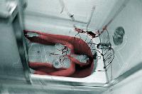 Picture for song 'BloodBath (sadiztic mix)' by artist 'LoCuSt (dramacide records)'
