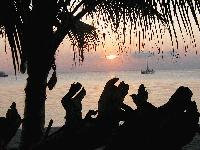 Picture for song 'Utopia' by artist 'LO fathead CO'