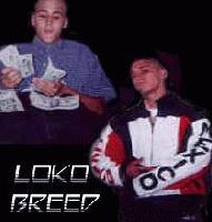 Picture for song 'Various' by artist 'Lokobreed'