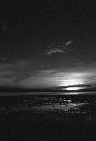 Picture for song 'Another day to come' by artist 'Lolita Ray'