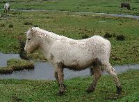 Picture for song 'Don't go for that ride' by artist 'Lolita Ray'