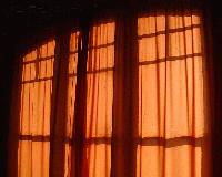 Picture for song 'Down to my truth' by artist 'Lolita Ray'