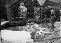 Picture for song 'Inget farväl' by artist 'Lolita Ray'