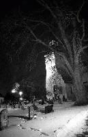 Picture for song 'Klippkort till idag' by artist 'Lolita Ray'