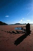 Picture for song 'Mary's sister' by artist 'Lolita Ray'